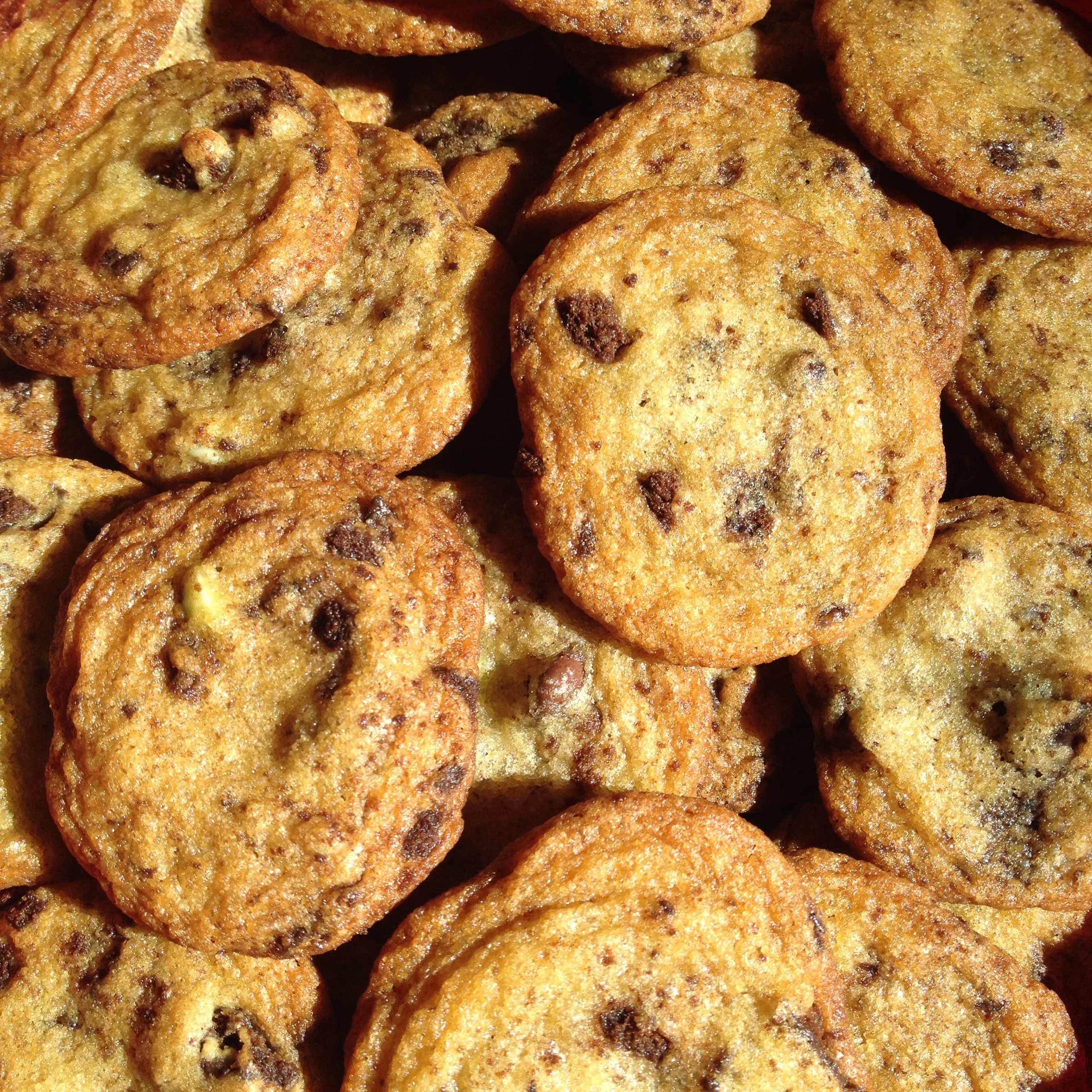 A bunch of Thin Mint Chocolate Chip Cookies sit piled on top of one another.